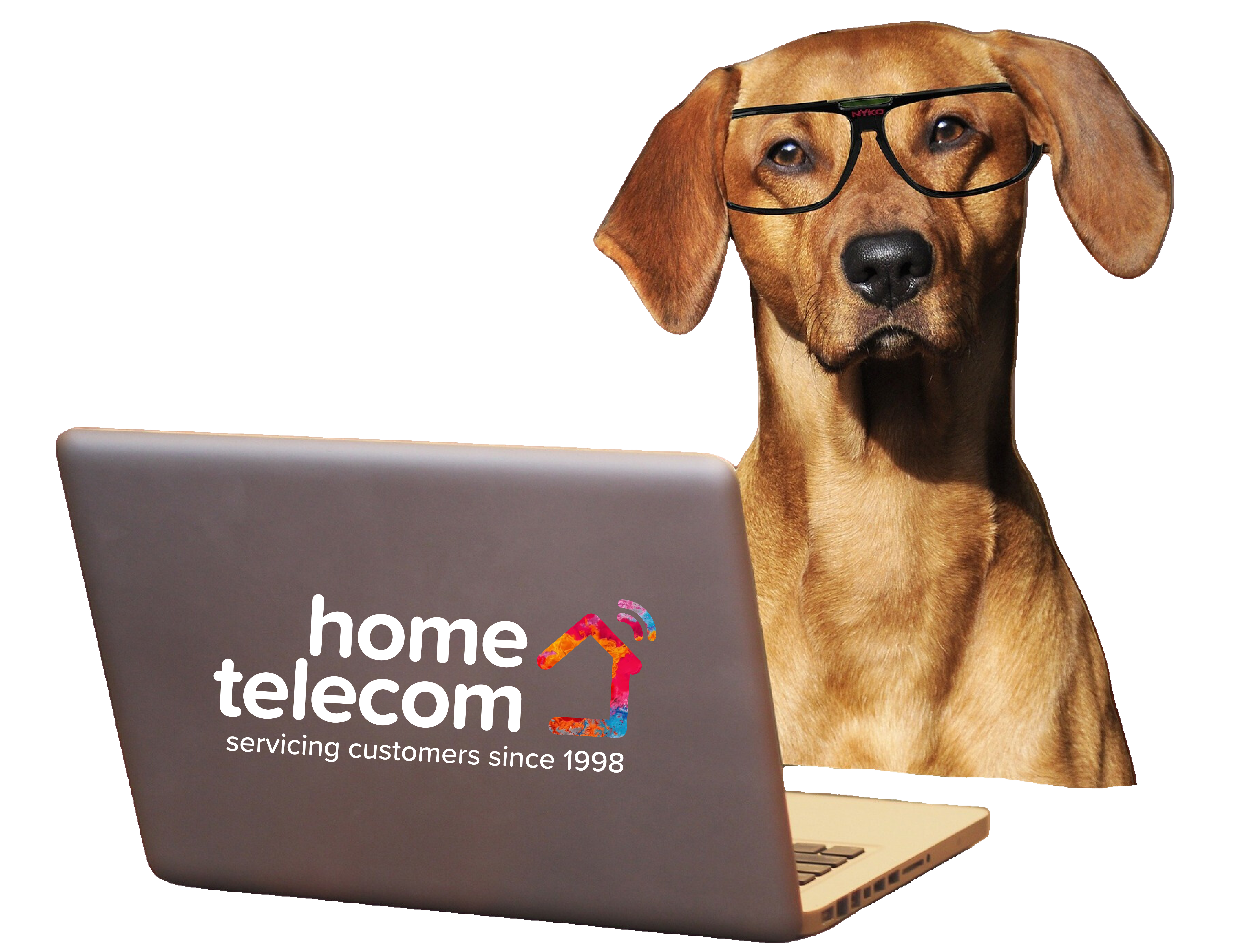 Dog with glasses behind a laptop