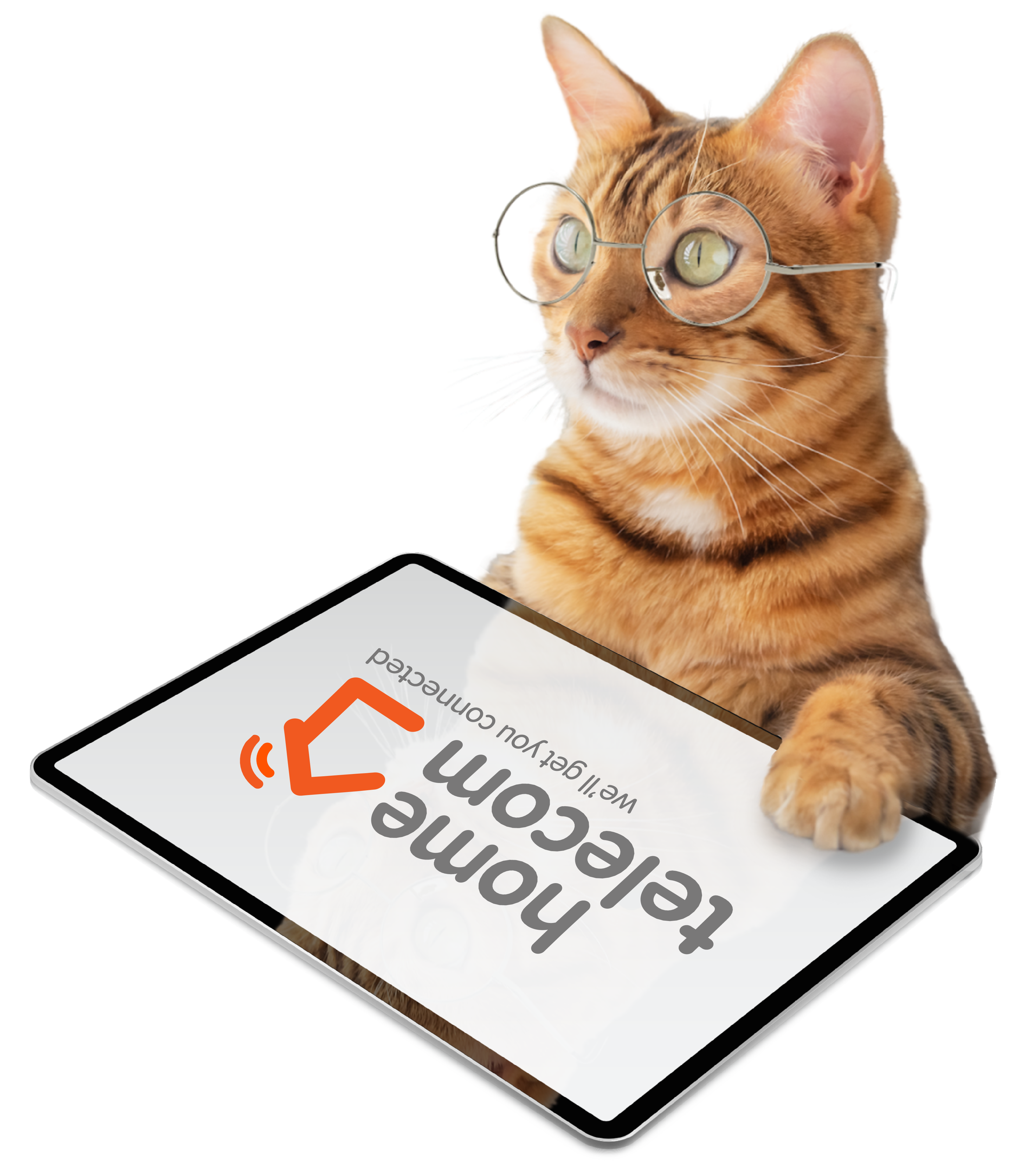 Cat holding a digital tablet