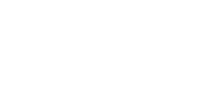 Home Telecom white logo WebP