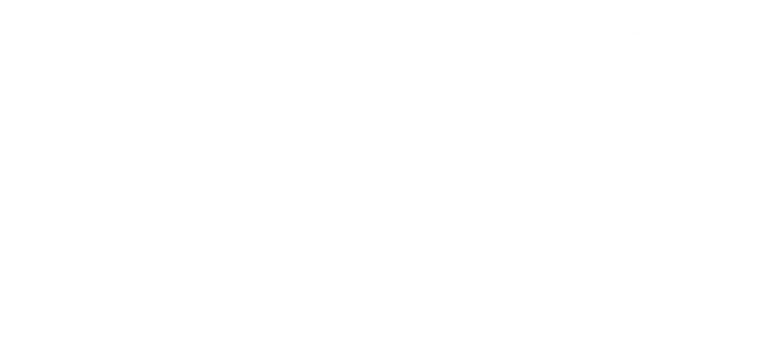 Home Telecom white logo WebP