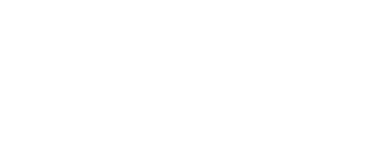 Home Telecom logo