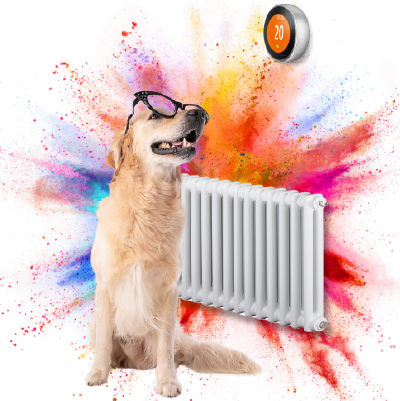 Home Telecom, Utility Specialists, Home energy, Header image