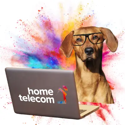 Home Telecom, Utility specialists, Home Broadband