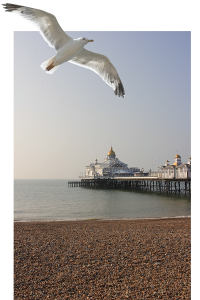 Full Fibre broadband in Brighton