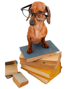 Home Telecom, Broadband and utility specialists, Help and Support, Legal bit image