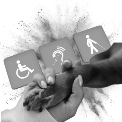 Home Telecom, UK's leading tenancy utility specialists, Accessible broadband for everyone, Accessibility and Vulnerability