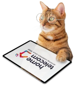 Home Telecom, UK's leading utility specialists, Broadband, energy, Sky Q, Council tax and water